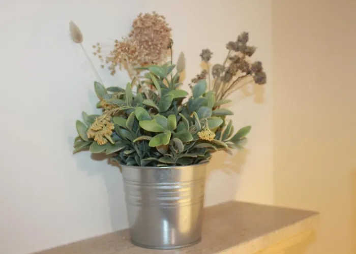 Pro Touristic Sol Village I شقة *